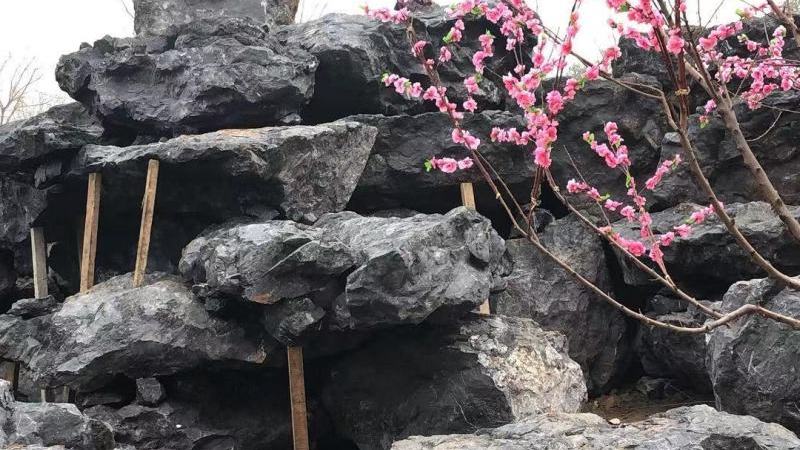 英德市望埠镇良好园林奇石场