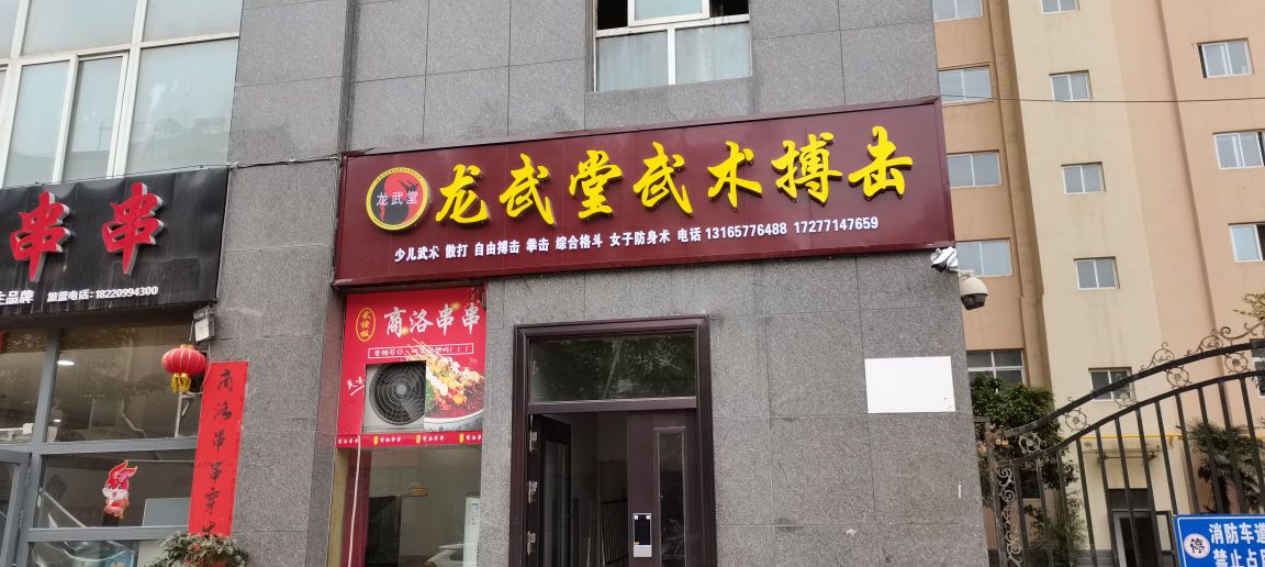 龙武堂武术搏击