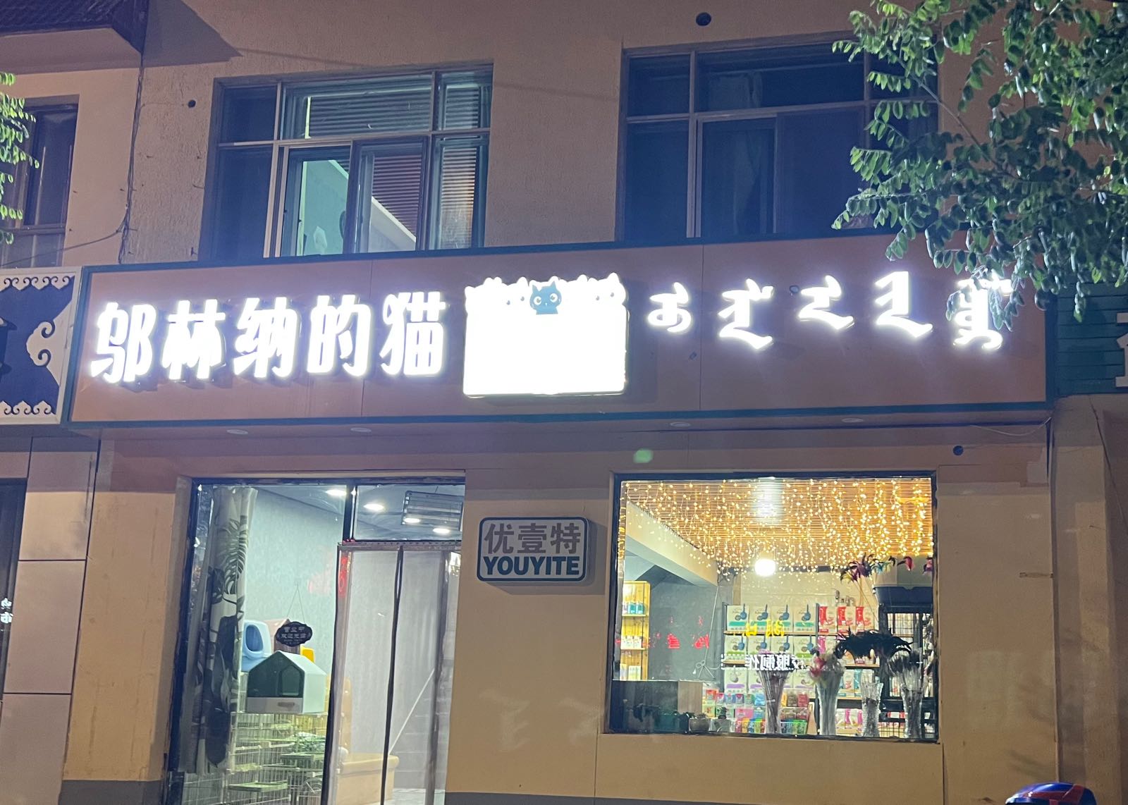 邬林纳的猫