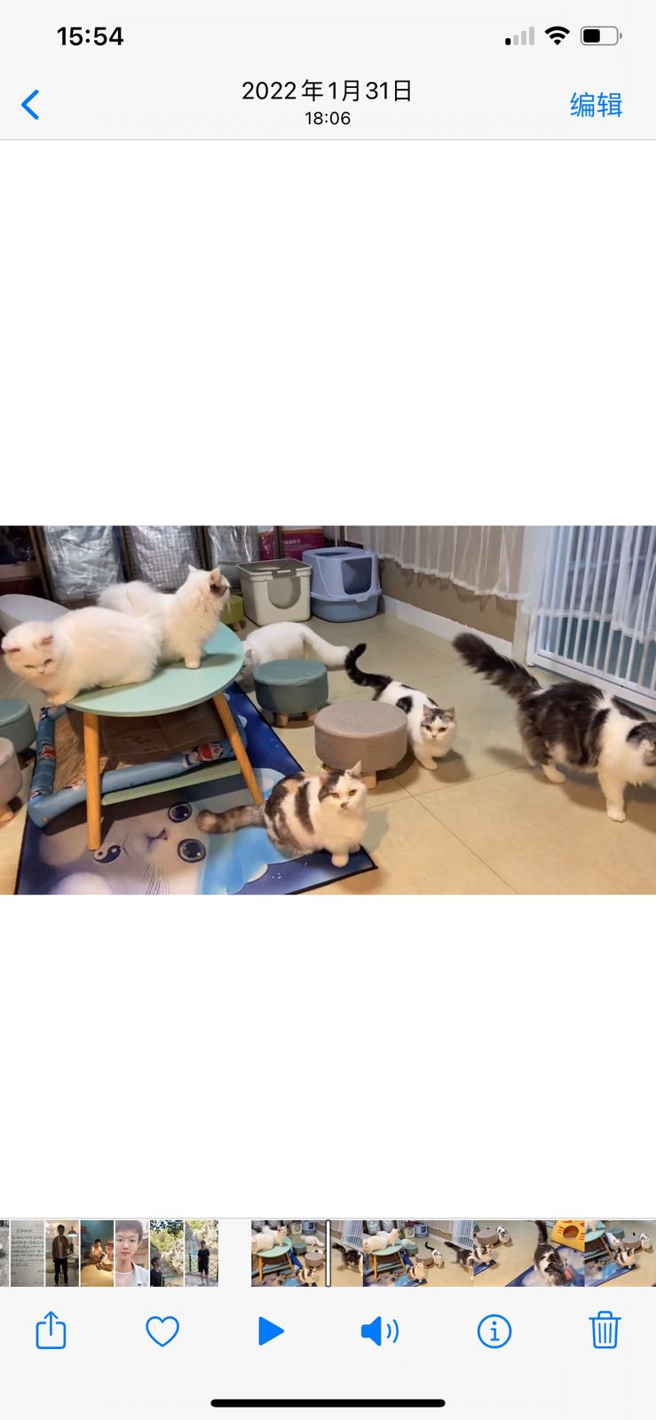 小鲁班宠物