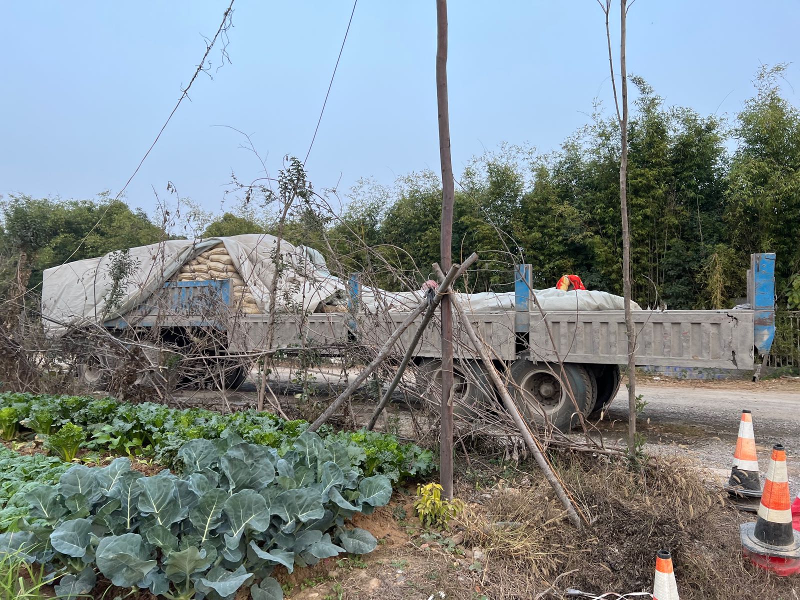 宛城区溧河乡中联水泥直销处