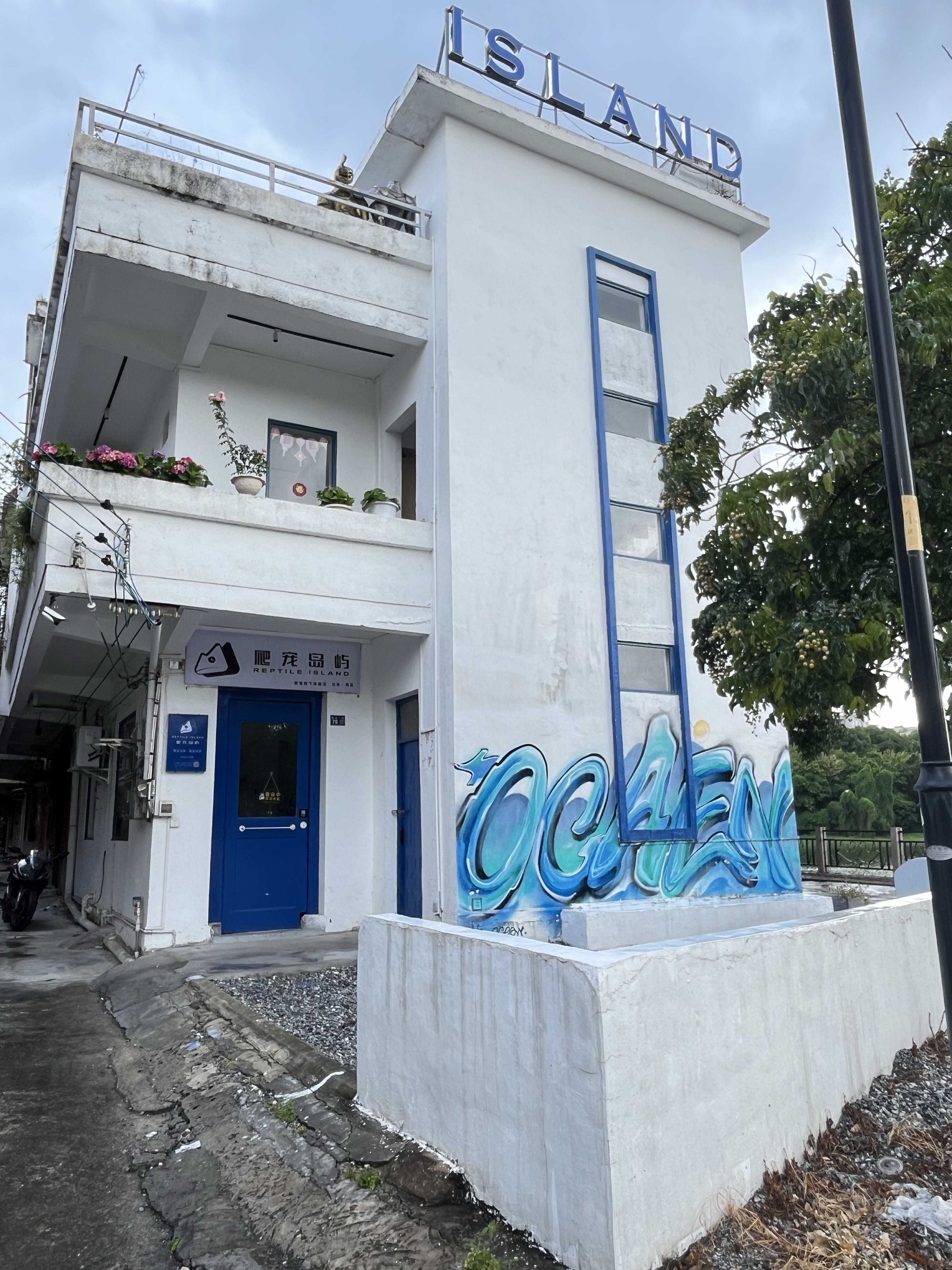 爬宠岛屿宠物店