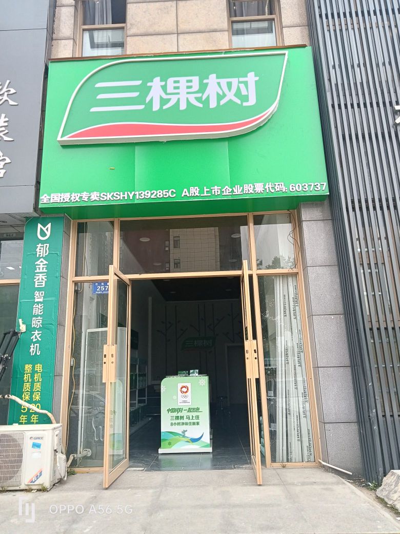 三棵树漆(洪河大道店)