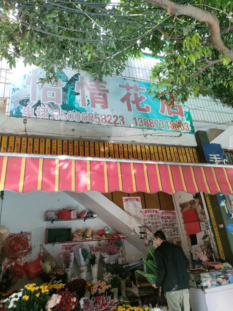 怡情花店(玫瑰花生日礼物元旦跨年夜)