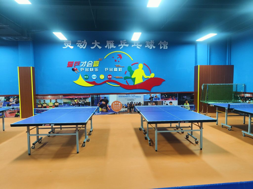 灵动大雁乒乓球馆