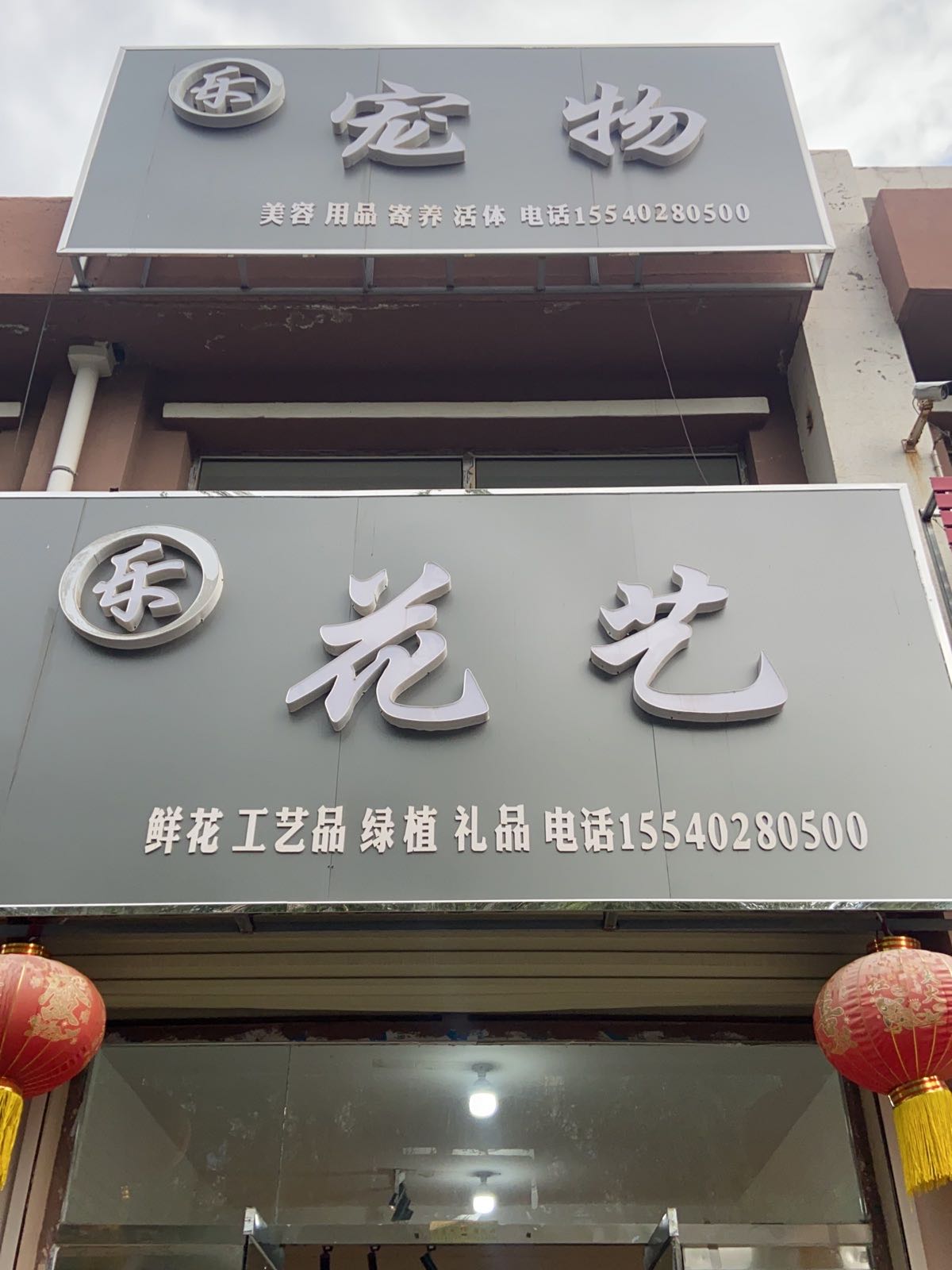 乐花艺鲜花