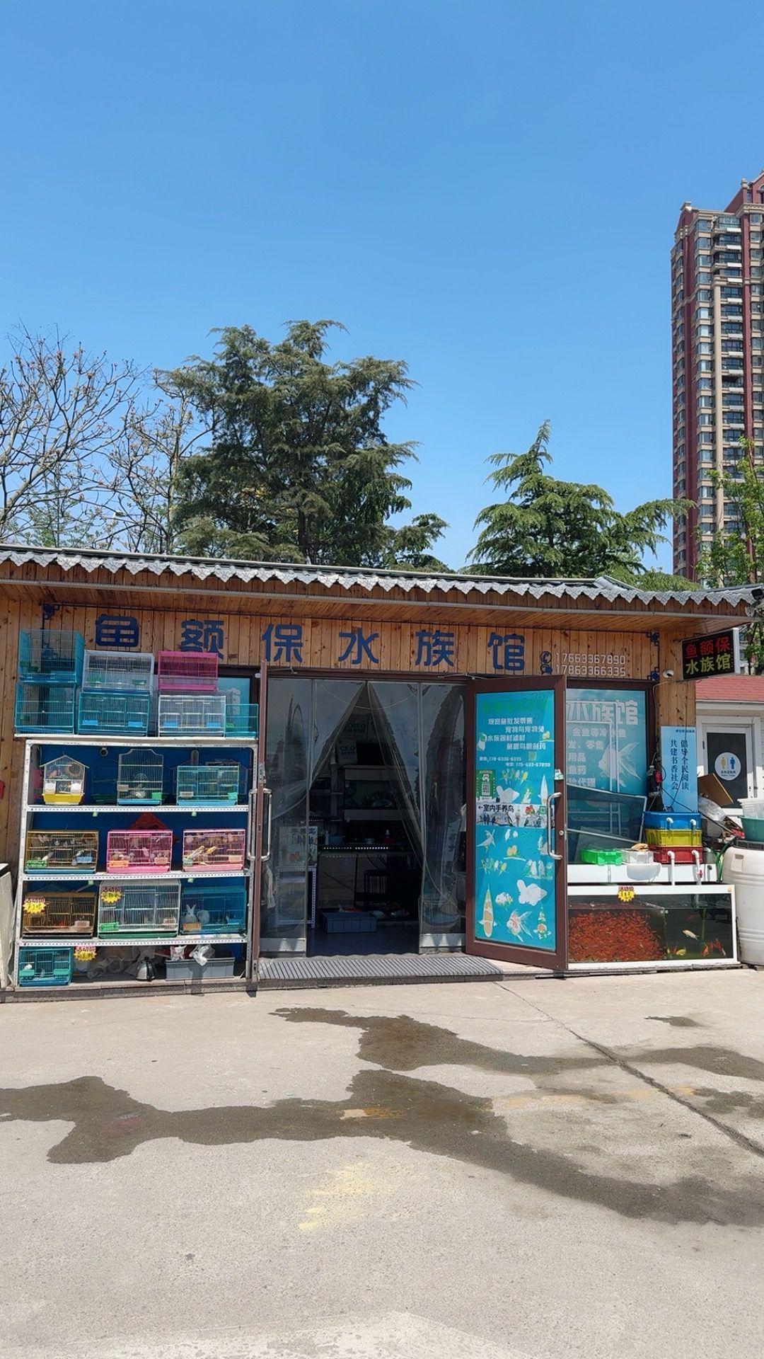 鱼额保水族馆(日照迎宾花卉市场店)