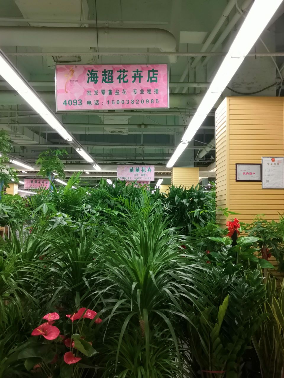 海超花卉店