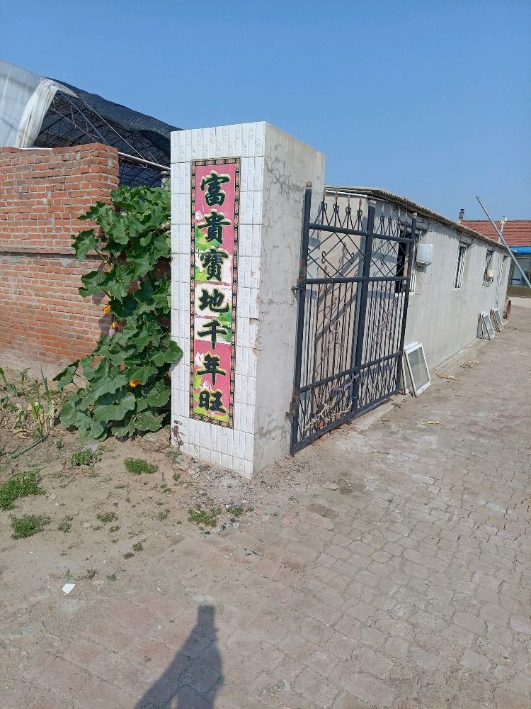 古榆树镇周彦生猪收购