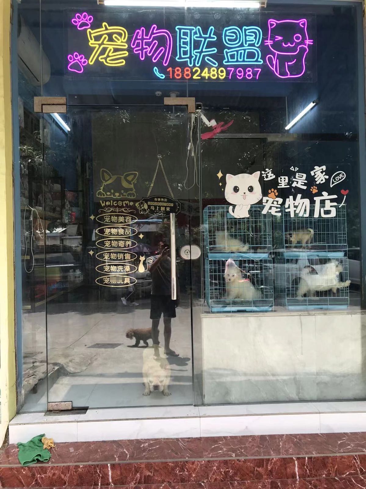 宠物联盟宠物店
