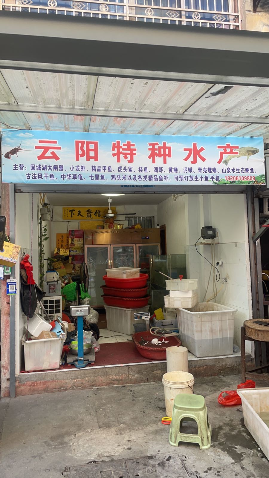 云阳特种水产