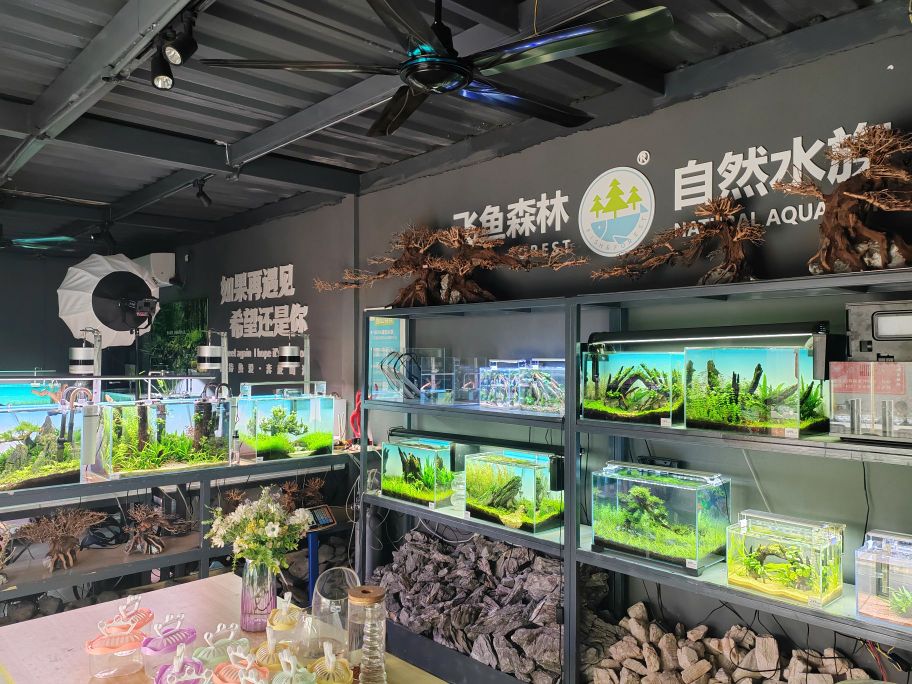 飞鱼森林水族世界