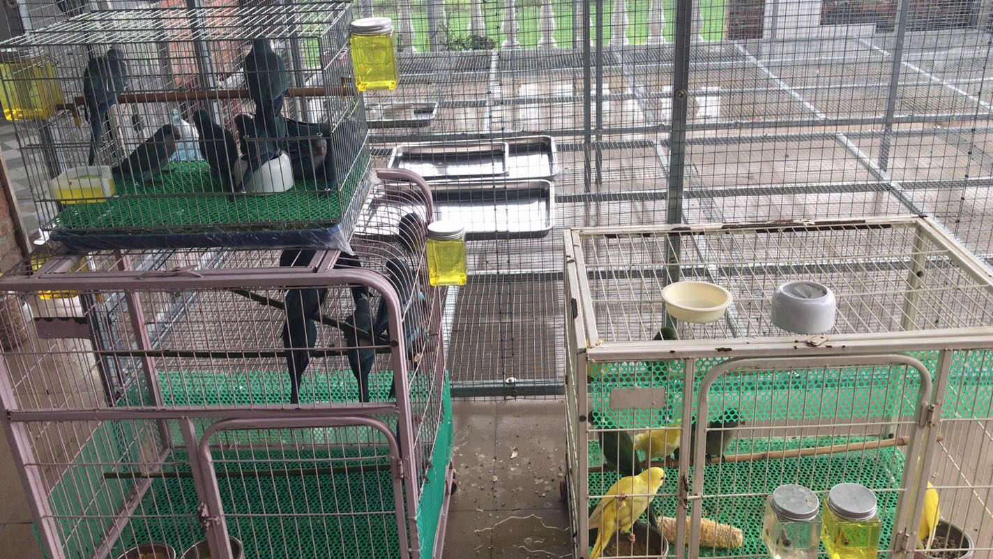 罗定市名宠旺族宠物店
