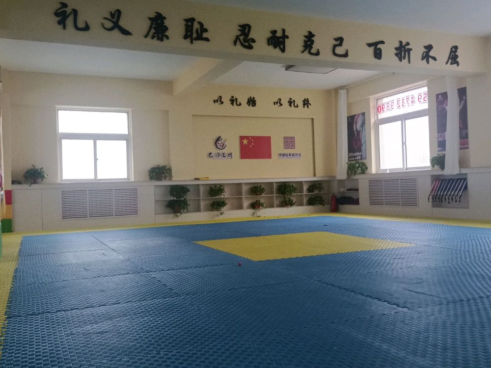 龙师艺博武道教育