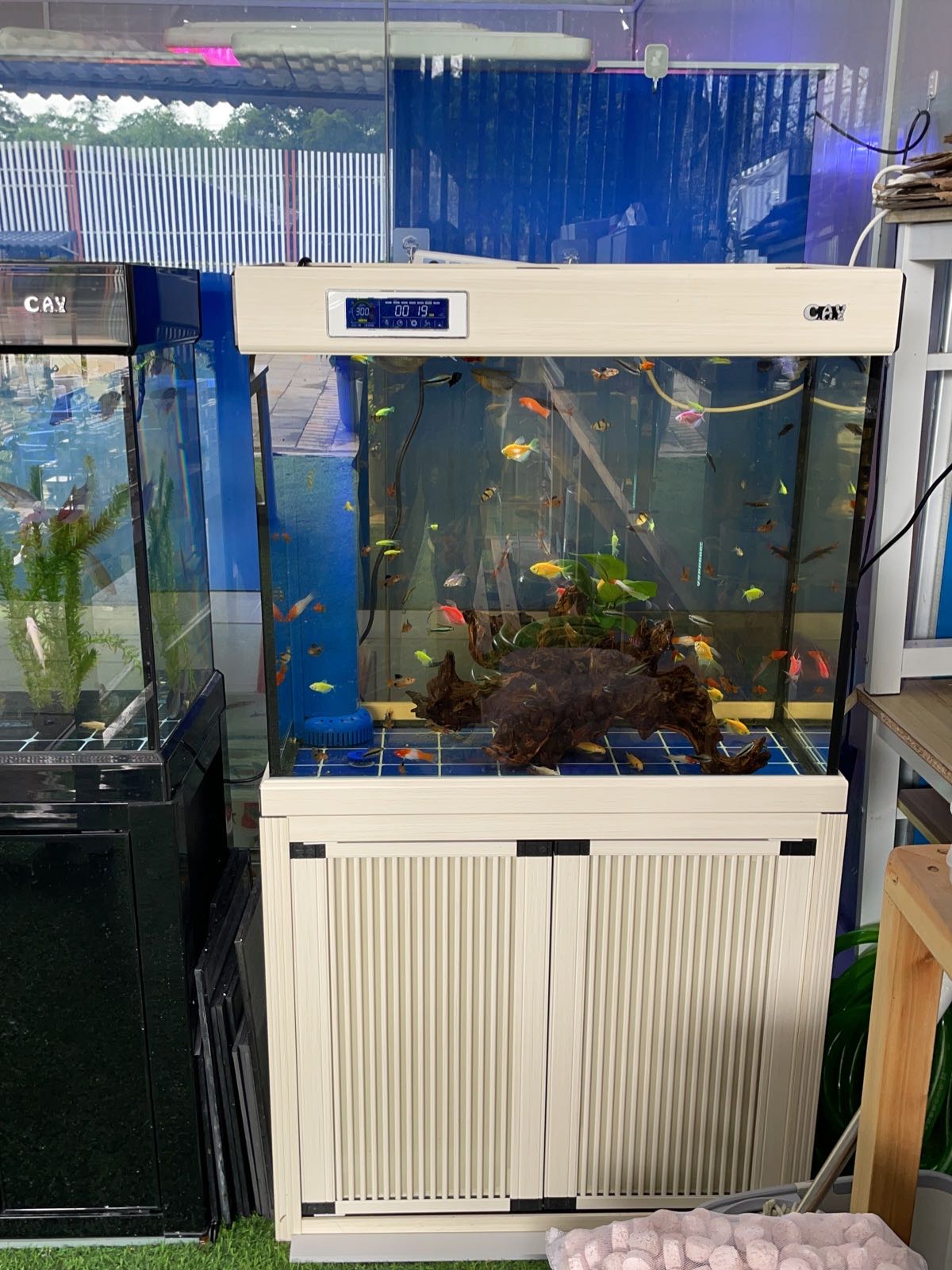 花千百花卉水族馆