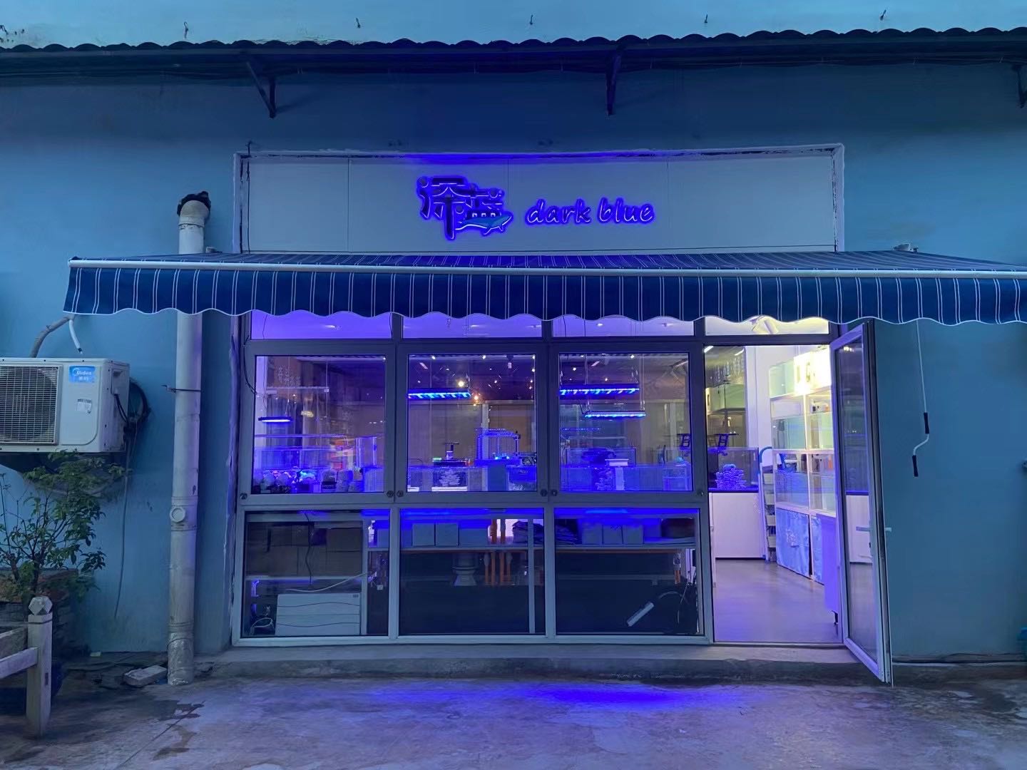 深蓝海水水族店