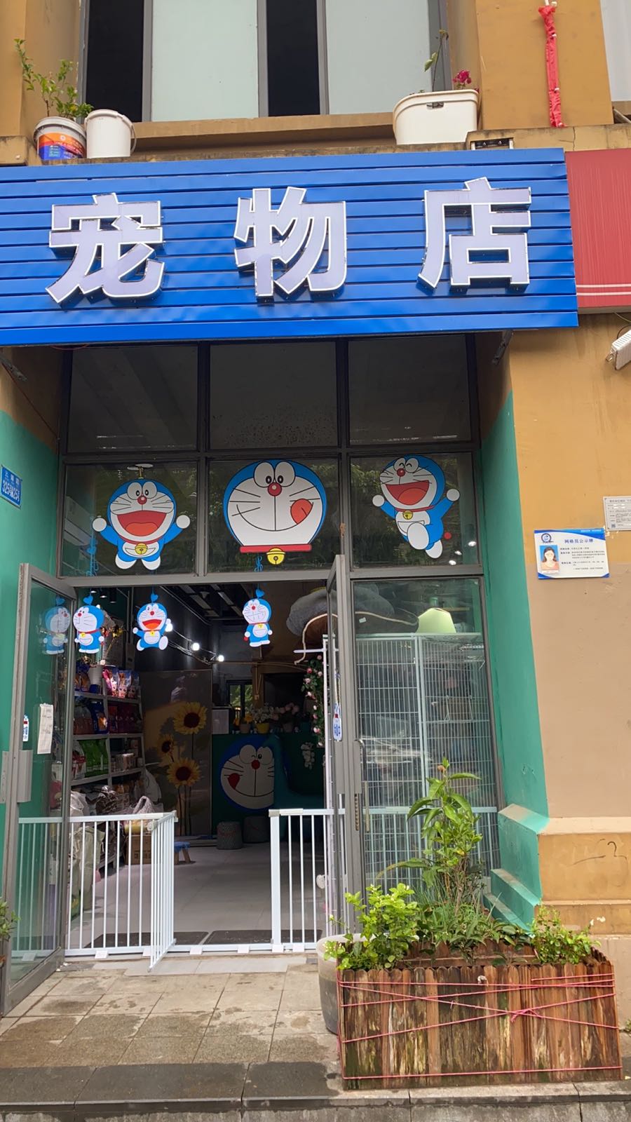 蓝胖子宠物店