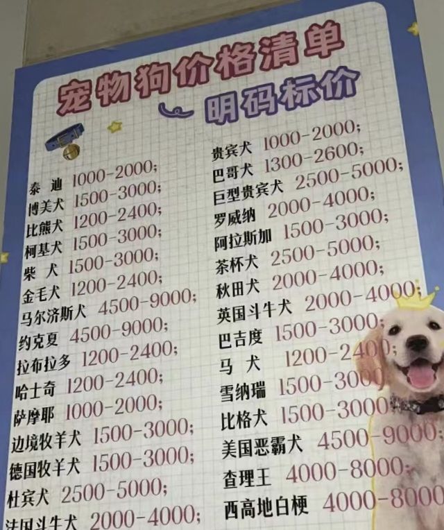 厦门宠物犬舍猫舍基地狗场直销购宠市场