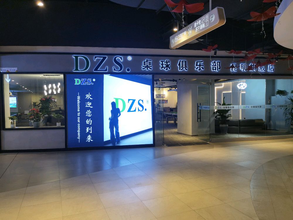 DZS·桌球俱乐部