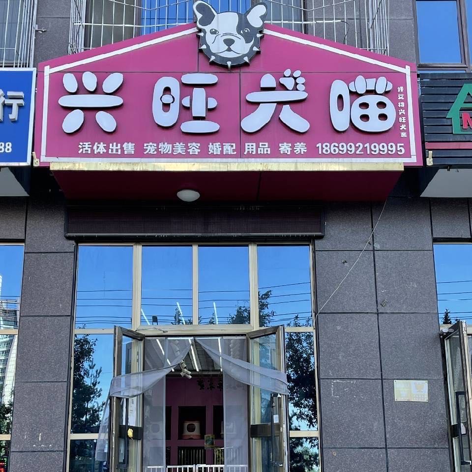 兴旺犬喵