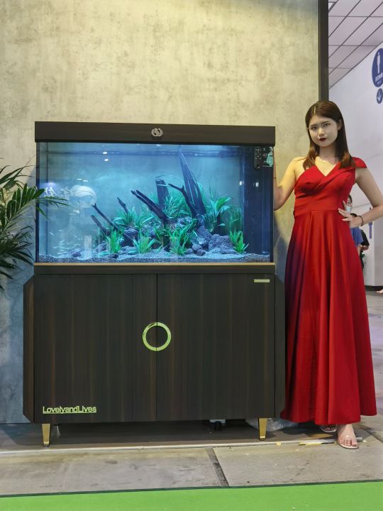 可丽爱水族生活馆