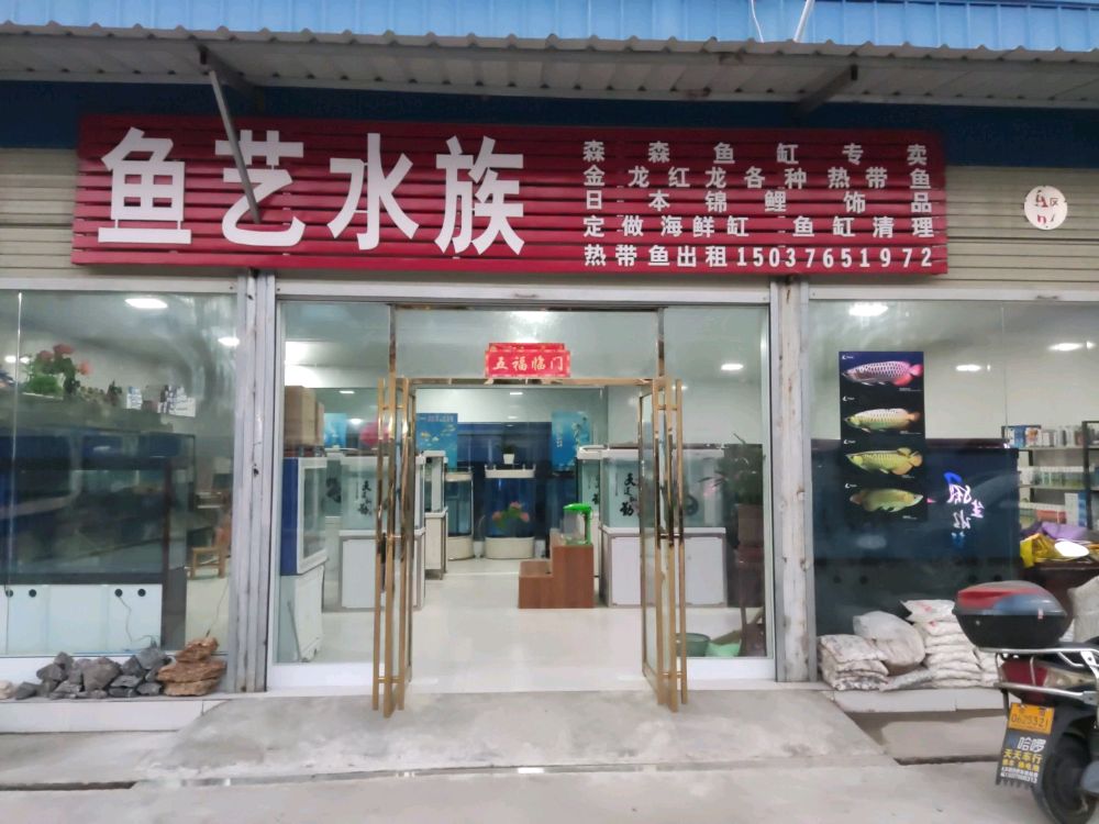 鱼鱼水族(和谐市场店)