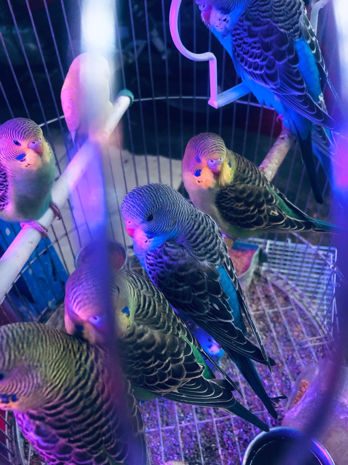 奇趣水族萌宠屋