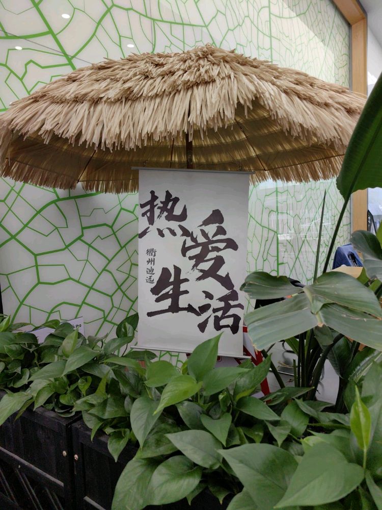 比亚迪汽车望潮网（衢州迪远4S店）