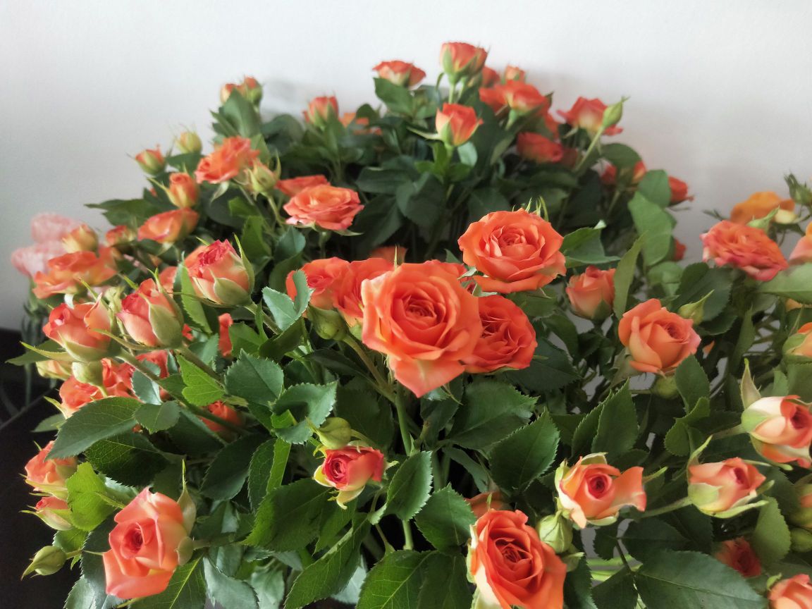 百合花坊(G105店)