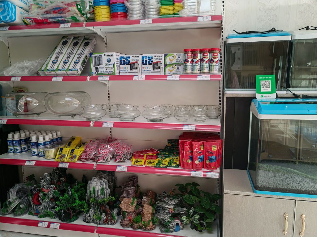 小宠