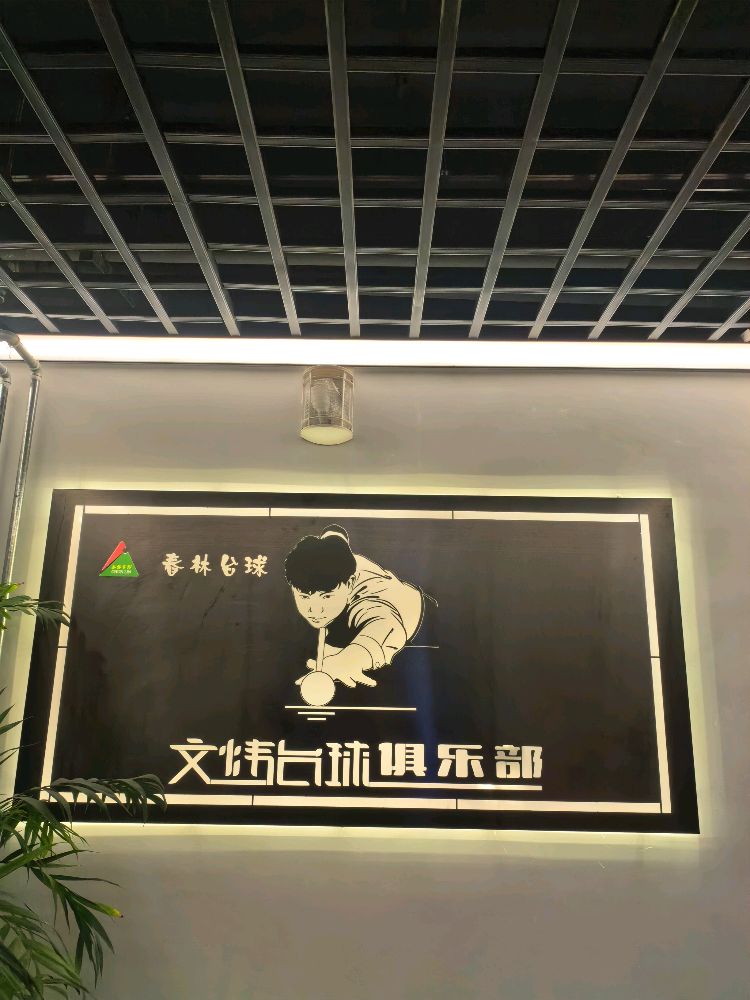 春林·文炜台球俱乐部