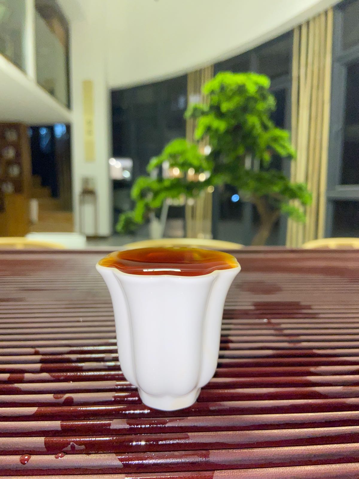 普洱符号茶业旗舰店