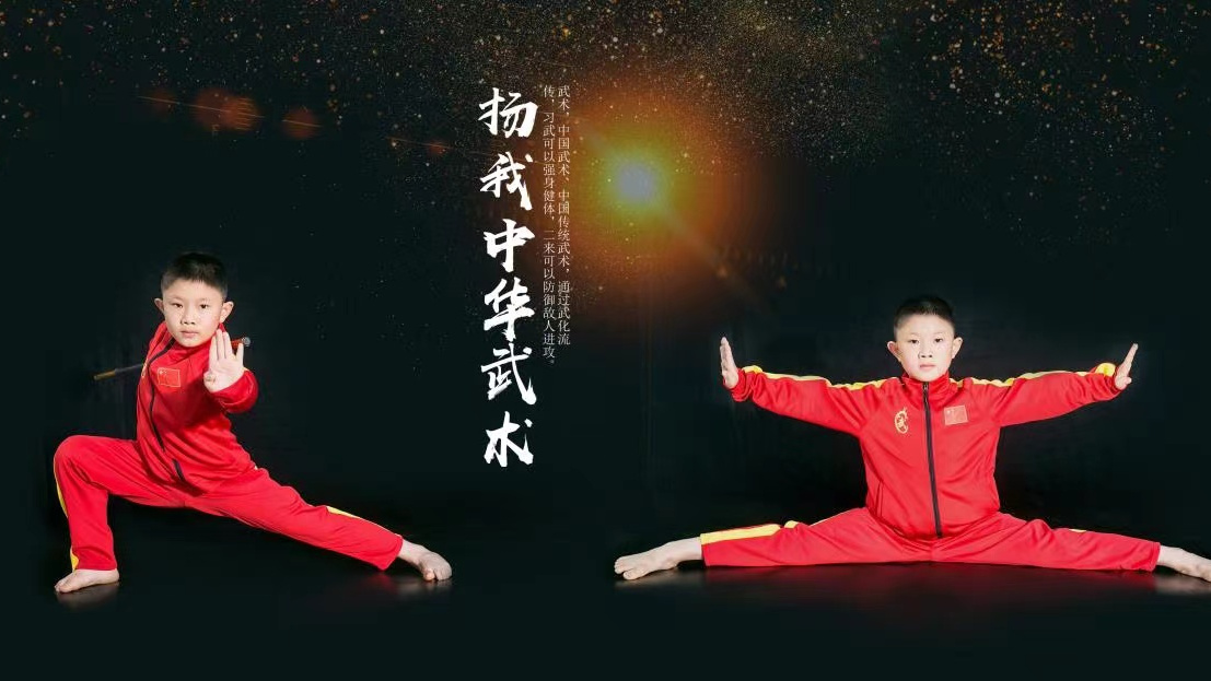 振东武馆